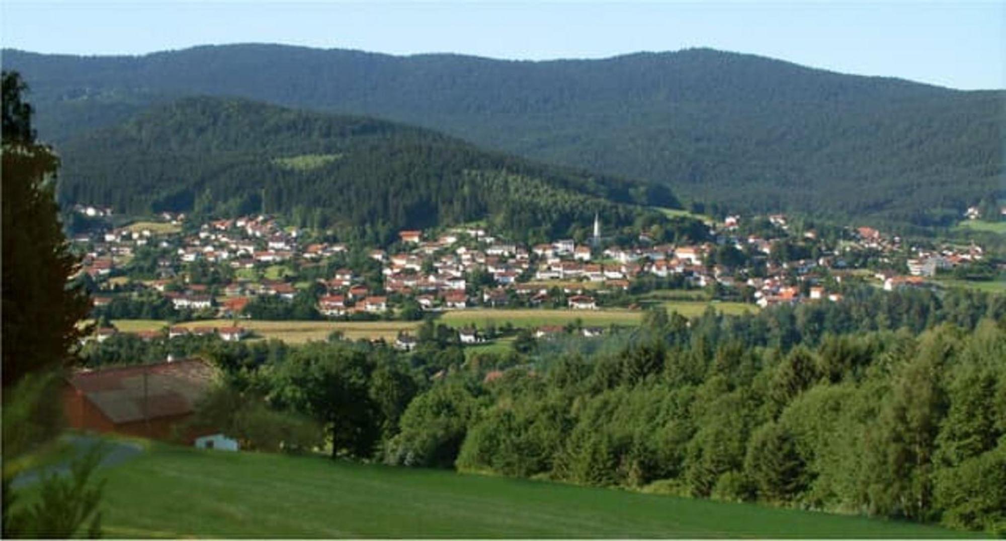 Ferienappartements-Grolik Im Aparthotel Zum Gutshof Hohenwarth Exteriér fotografie